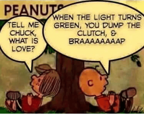 peanut-hen-the-light-turns-tell-me-green-you-dump-26704116.png.40c9a923e06912b2420018512030a333.png