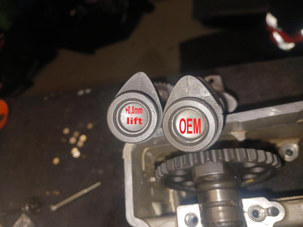 +0.8mm lift camshaft and standard camshaft.jpg