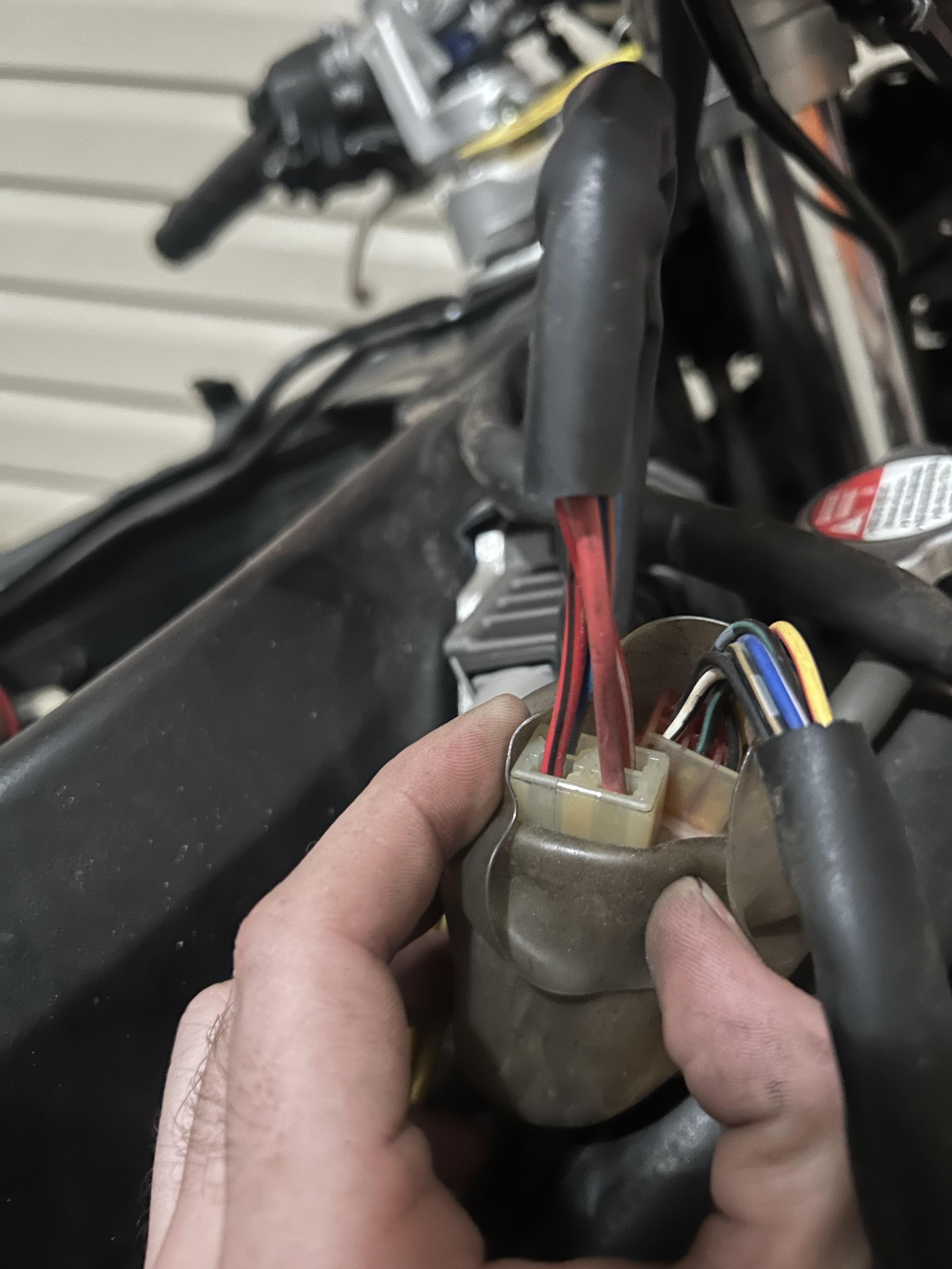 ほかの方発送×Gary Fenske 【First Light】 Gary Fenske(ゲリー・フェンスキー) 「ファースト ライト」リトグラフ