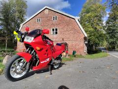 IMG_20240929_124759.jpg
