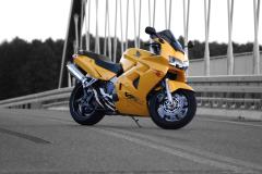 DSC_0410_edit1.jpg