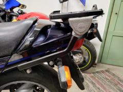 IMG_20241103_110541.jpg