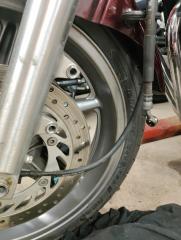 IMG_20250126_181227.jpg