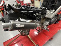 IMG_6242_00 (Large).jpeg