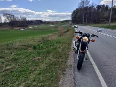 IMG_20250426_150539.jpg