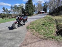 IMG_20250426_151102.jpg
