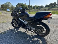 IMG_6695.jpeg