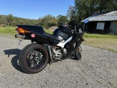 IMG_6703.jpeg