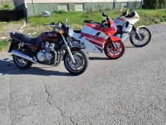 IMG_20250504_091237.jpg