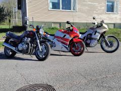 IMG_20250504_091910.jpg