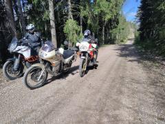 IMG_20250511_111459.jpg