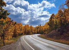 Fall 2025 (12) b.jpg