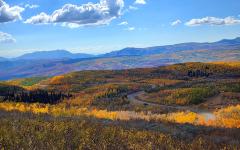 Fall 2025 (20) b.jpg