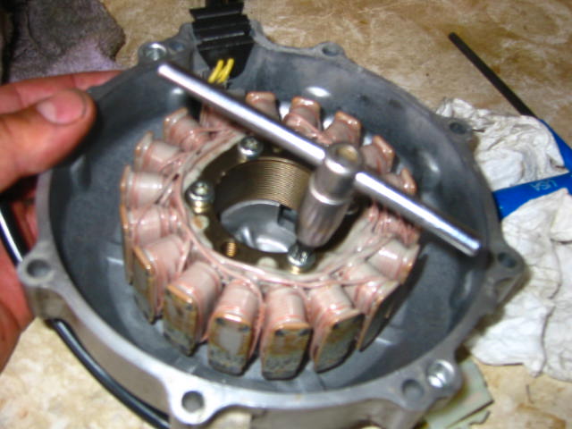 STATOR06.JPG